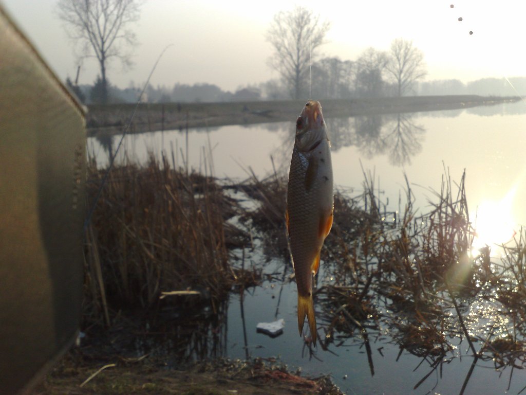 05042009315.jpg