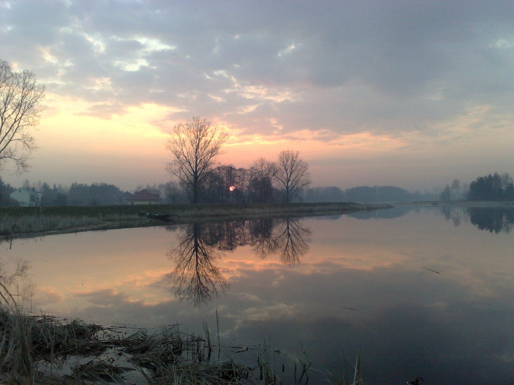 05042009305.jpg