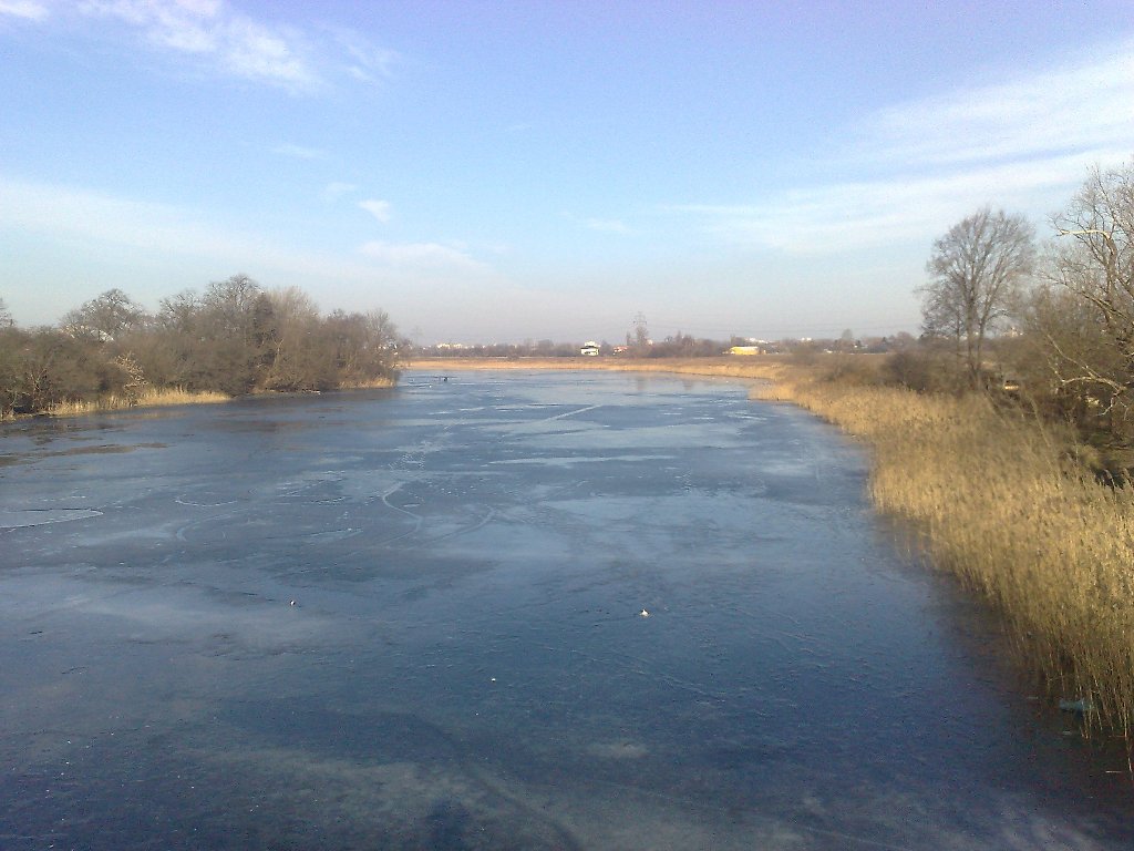 07022009183.jpg