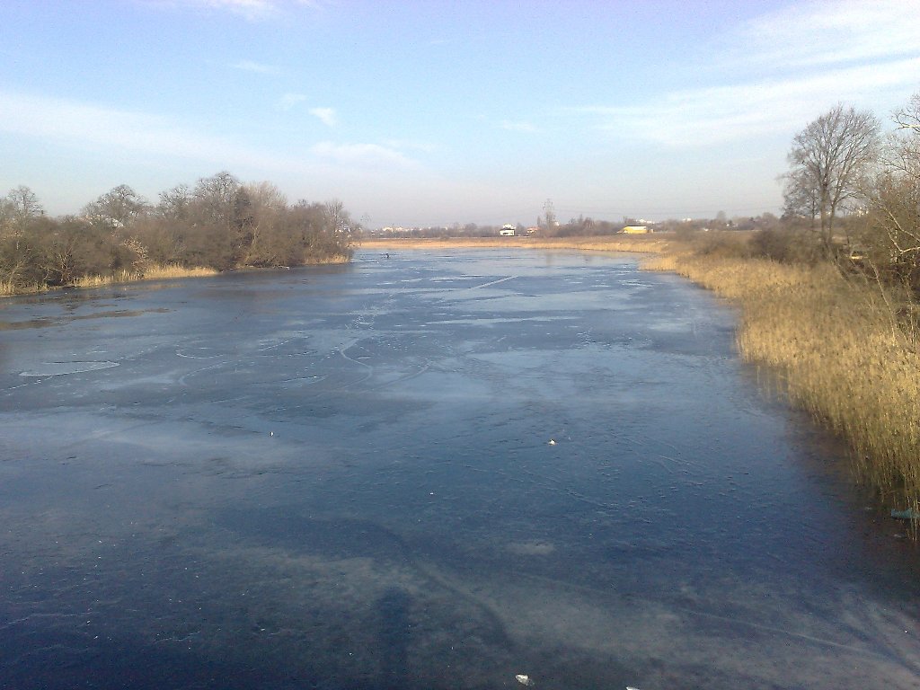 07022009181.jpg