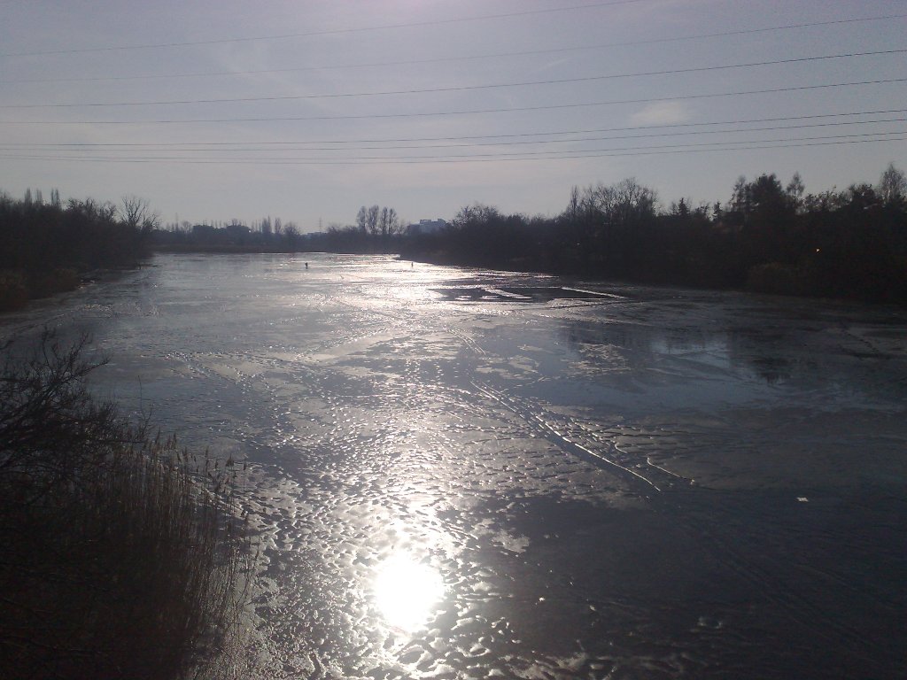 07022009185.jpg