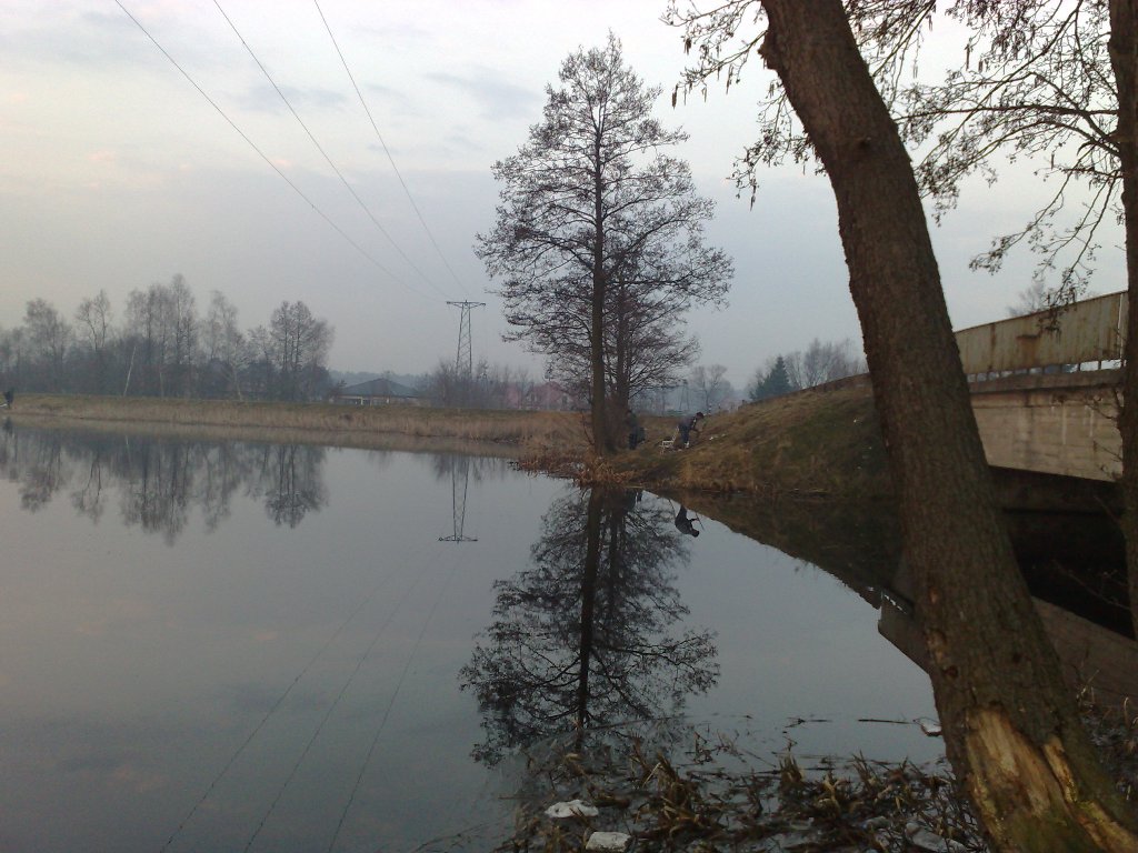 05042009307.jpg