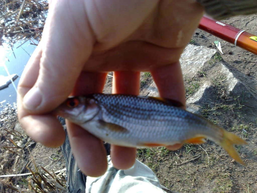 05042009320.jpg