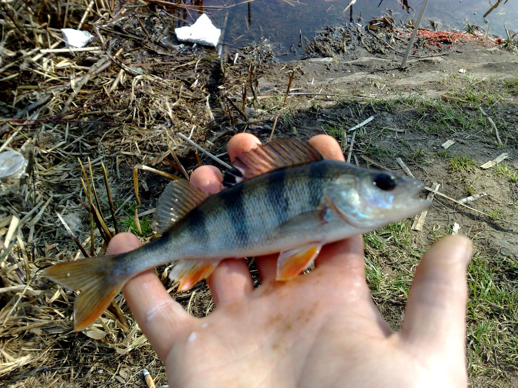 05042009322.jpg