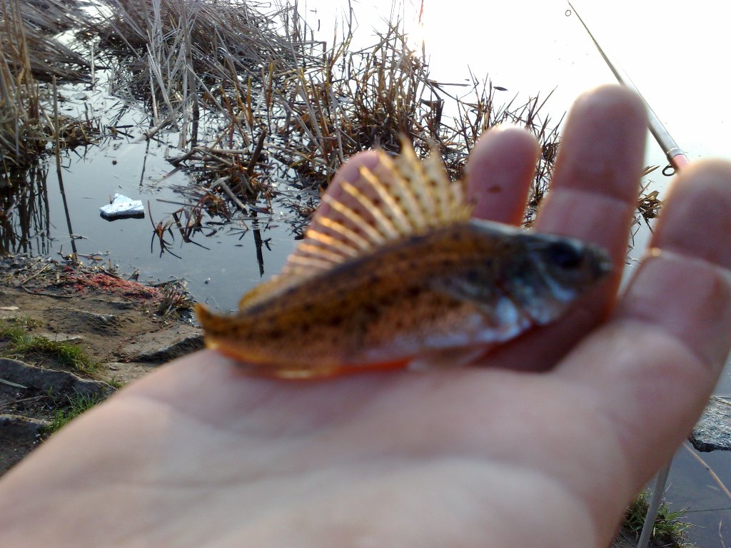 05042009312.jpg
