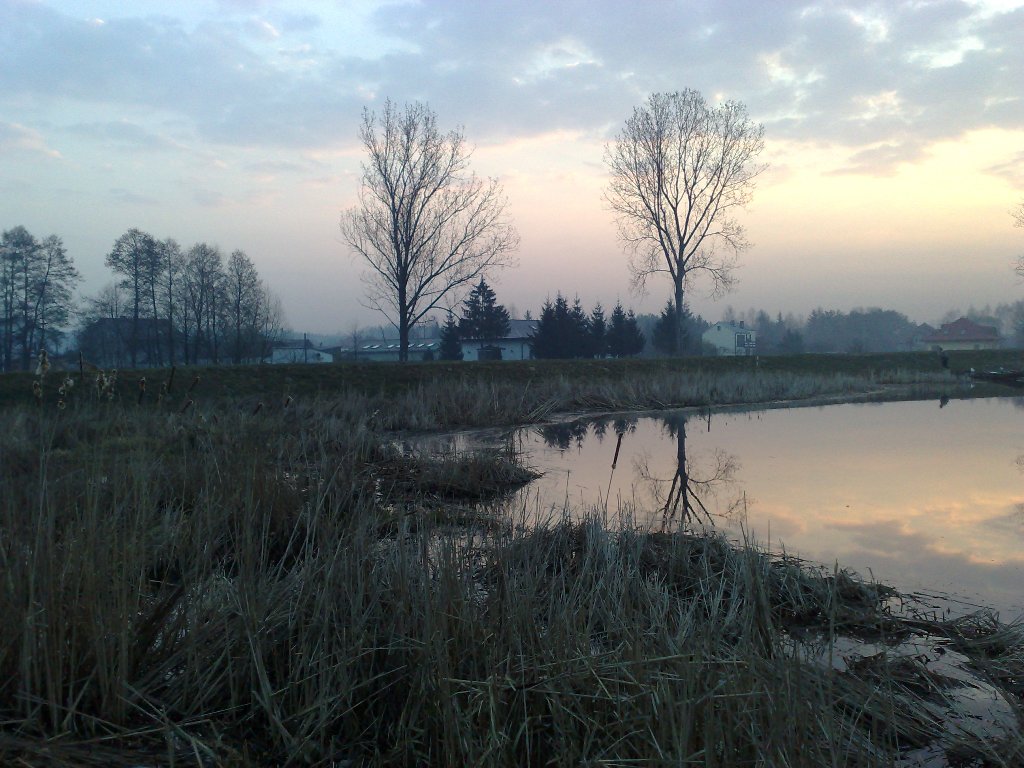 05042009306.jpg
