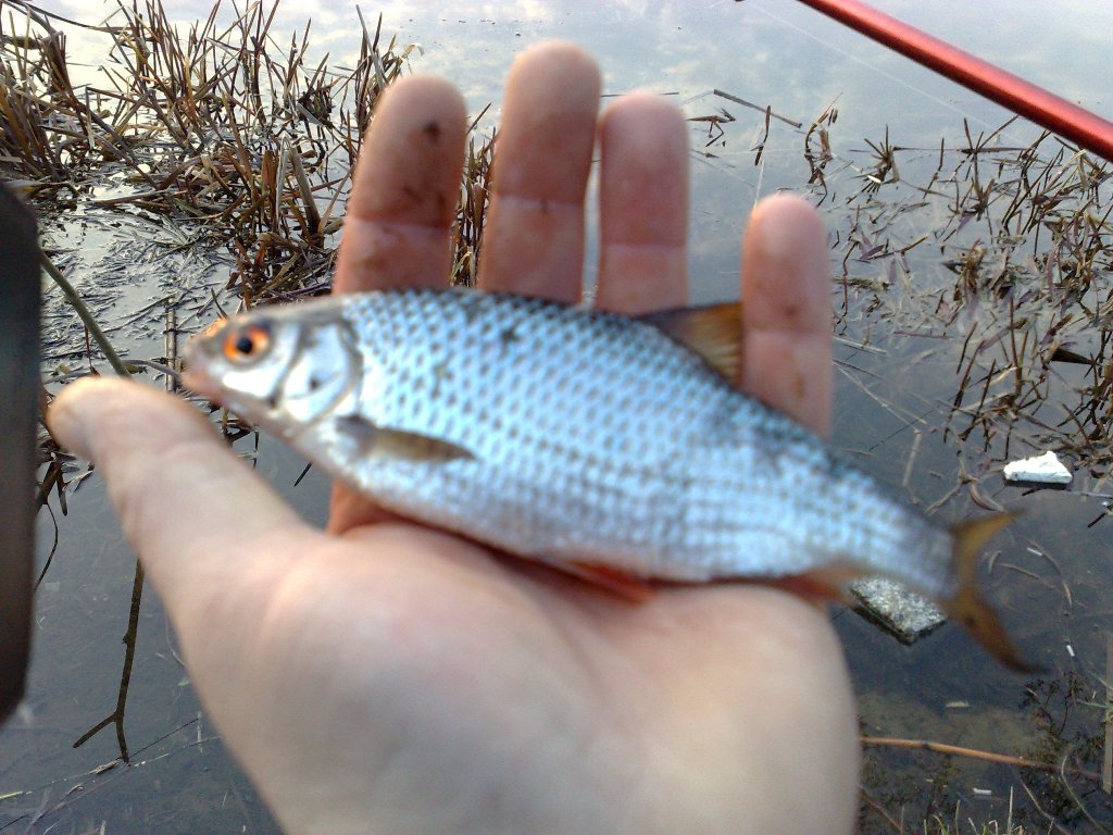 05042009310.jpg