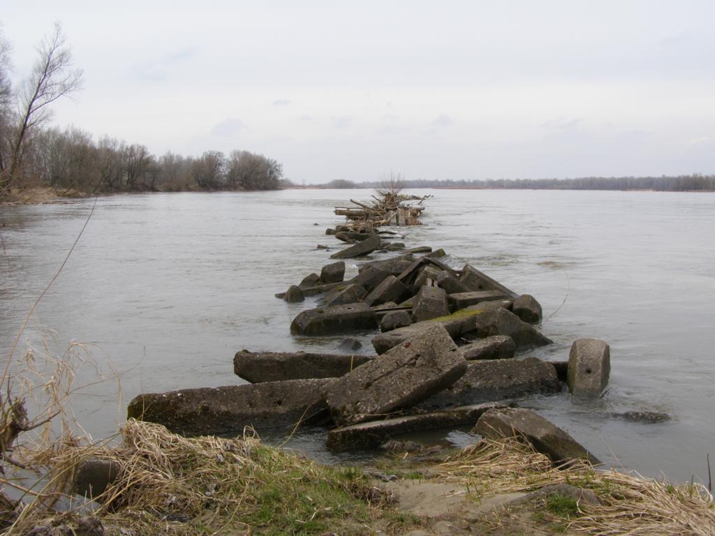P3280061_1024x768.jpg