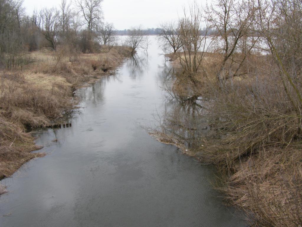 P3280068_1024x768.jpg