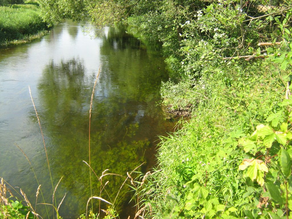 tu stał cwaniak.jpeg