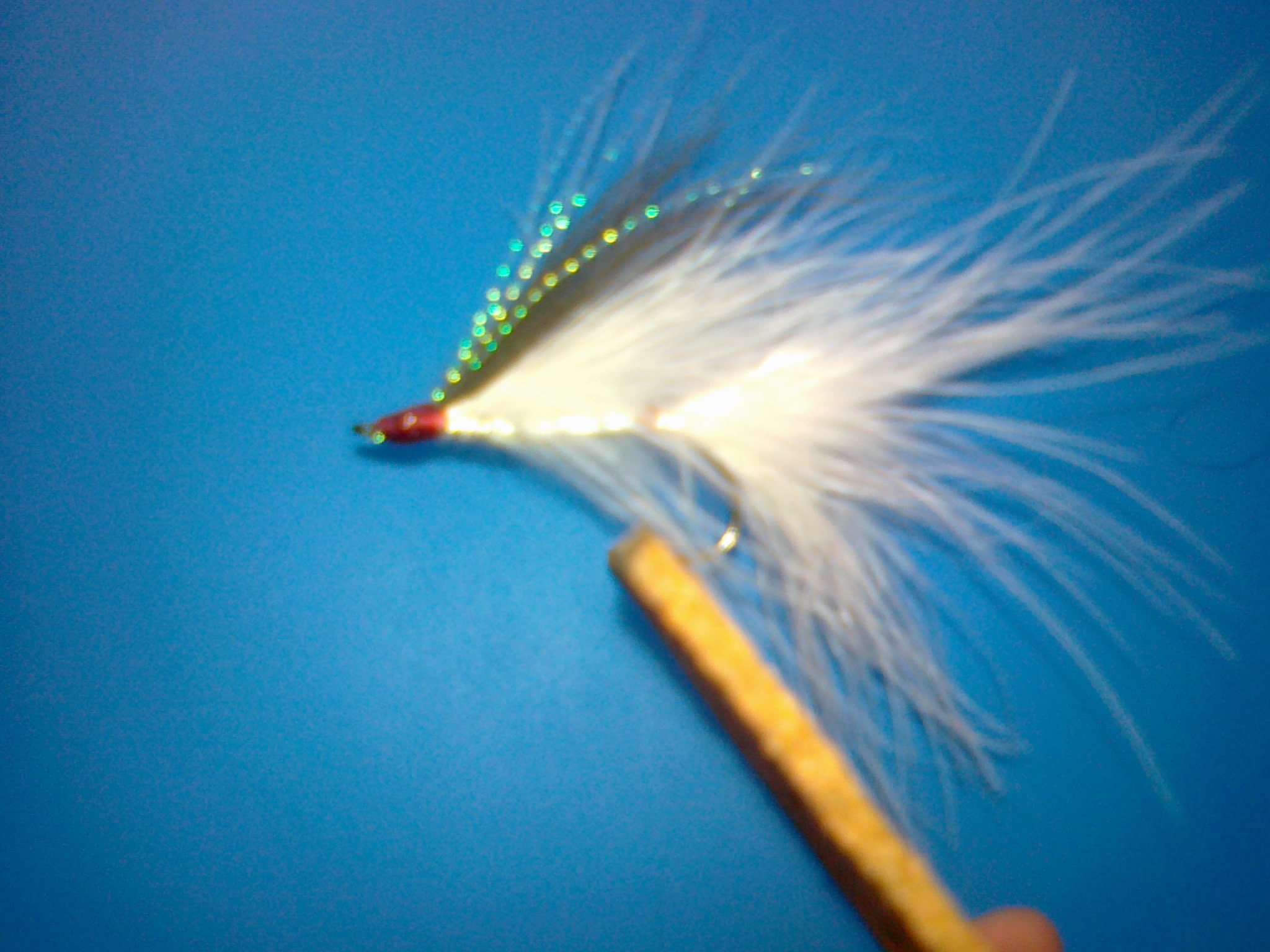 20120606163.jpg