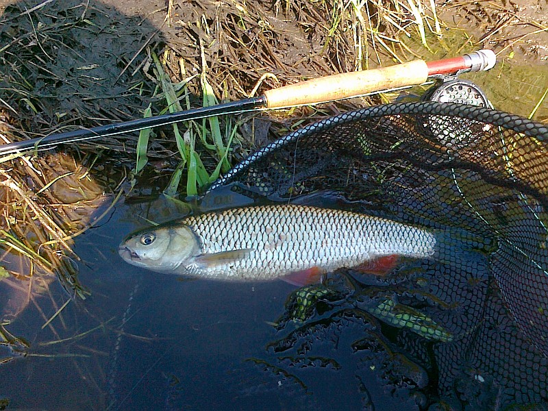 20120503115.jpg
