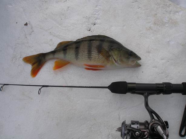 Resize of P1270028.JPG