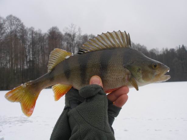 Resize of P2070037.JPG