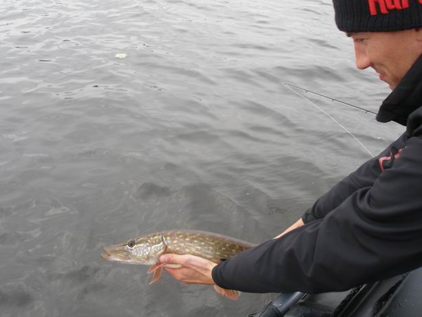 Resize of PA130138.JPG