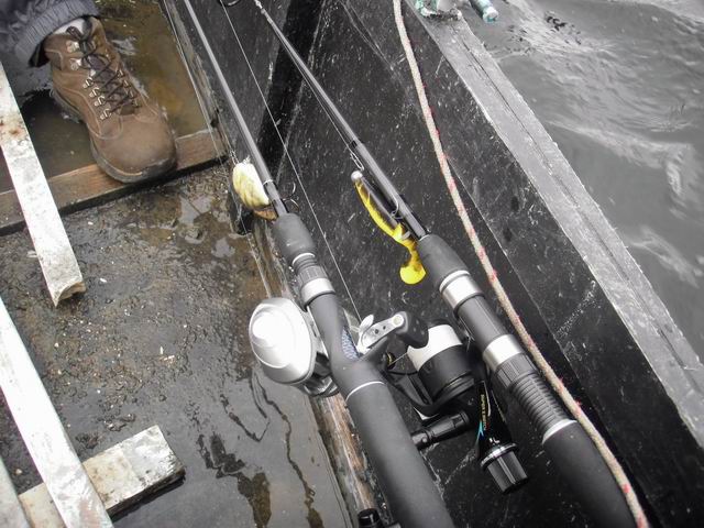 Resize of P9230186.JPG