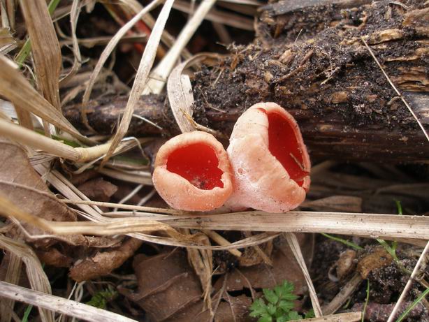 Resize of P2210137.JPG