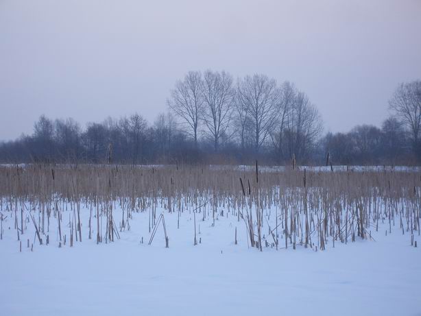 Resize of P1270043.JPG