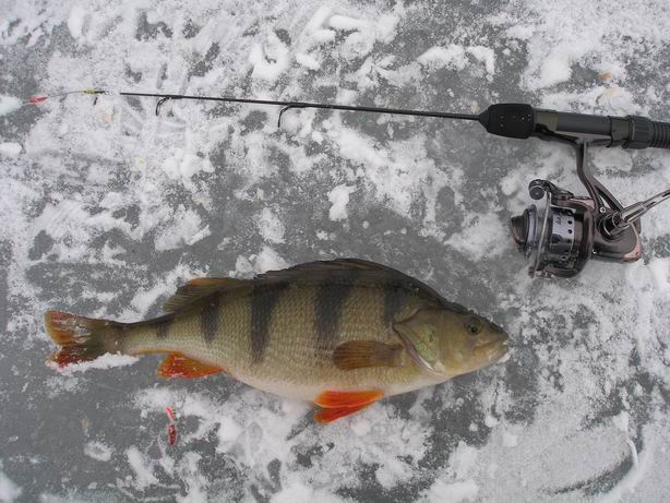 Resize of P2070033.JPG