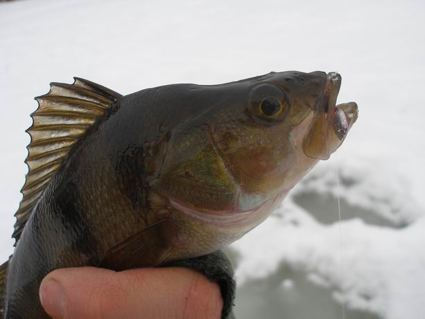 Resize of P1240030.JPG