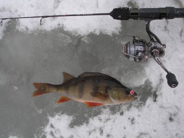 Resize of P1240032.JPG