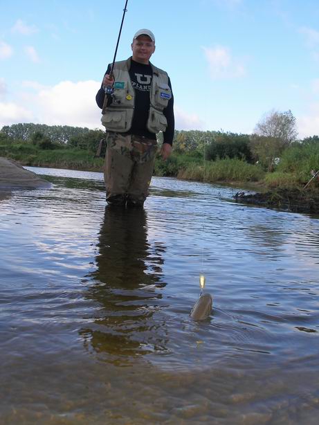 Resize of P8290701.JPG