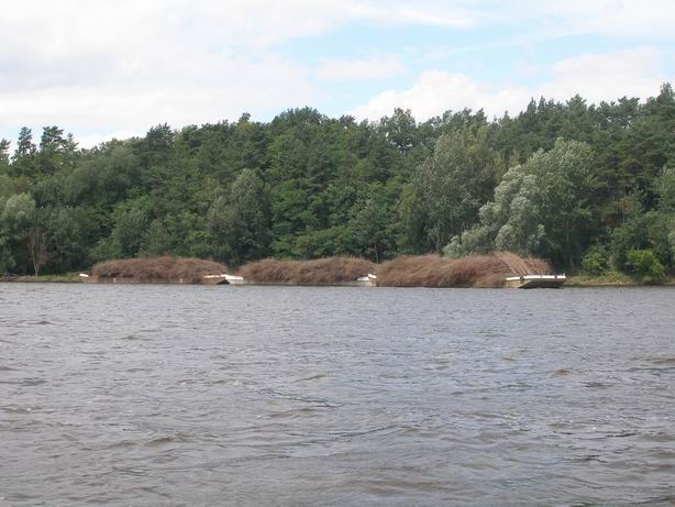 Resize of P7150025.JPG