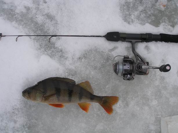 Resize of P1240028.JPG