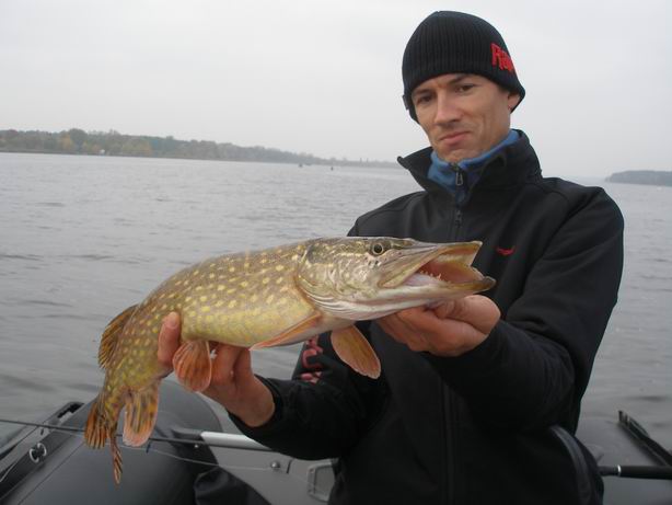 Resize of PA130136.JPG