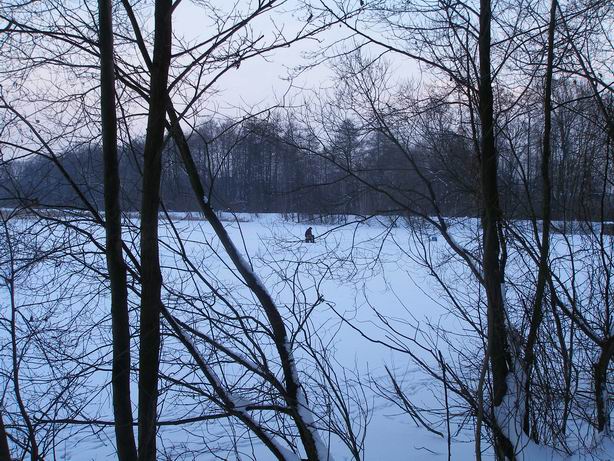 Resize of P1270032.JPG