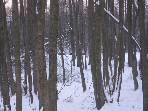 Resize of P1270029.JPG