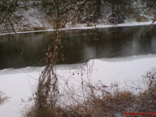 DSC00214.JPG