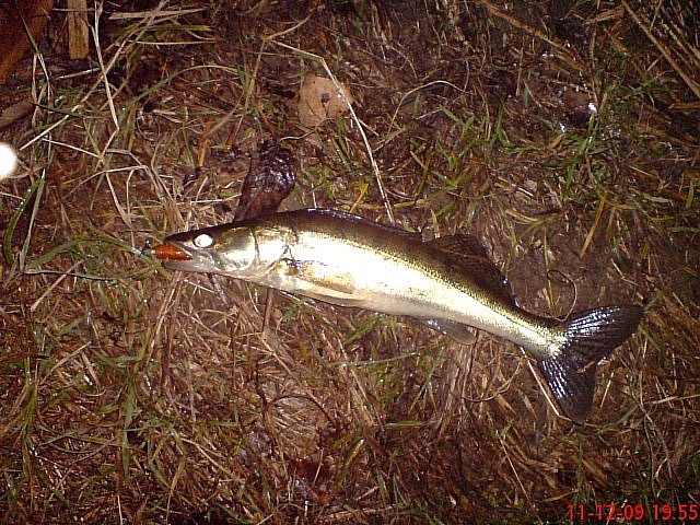 DSC00202.JPG