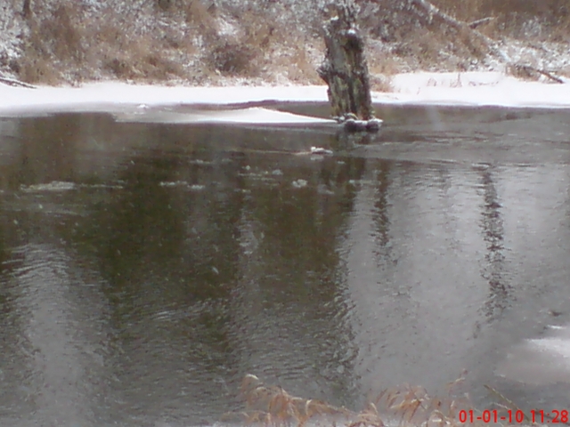 DSC00216.JPG