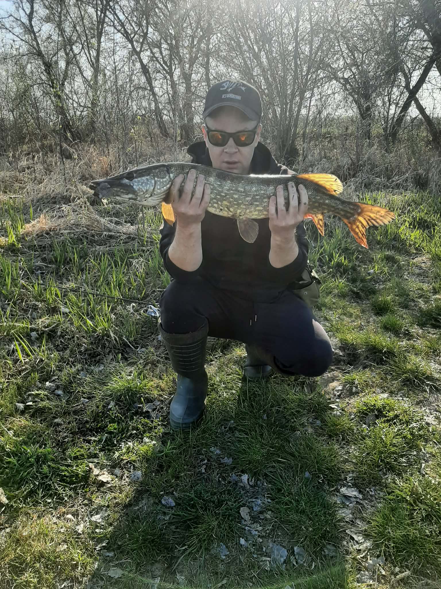 szczupak