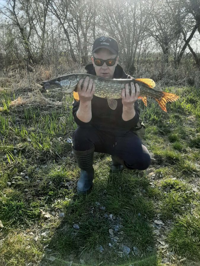 szczupak